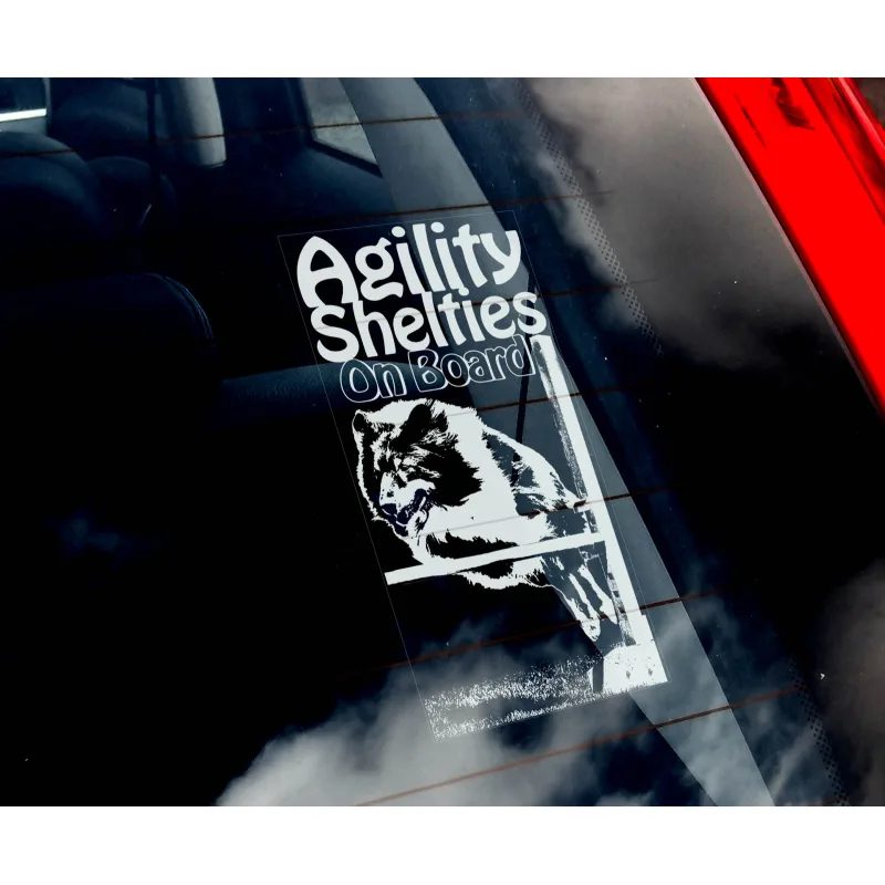 Agility - Šeltie