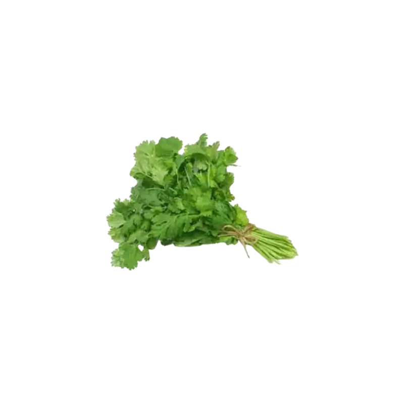Fresh Coriander Bunch(1pc)