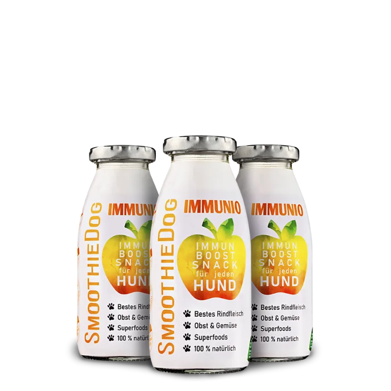Imunita vývar pro psy – smoothie