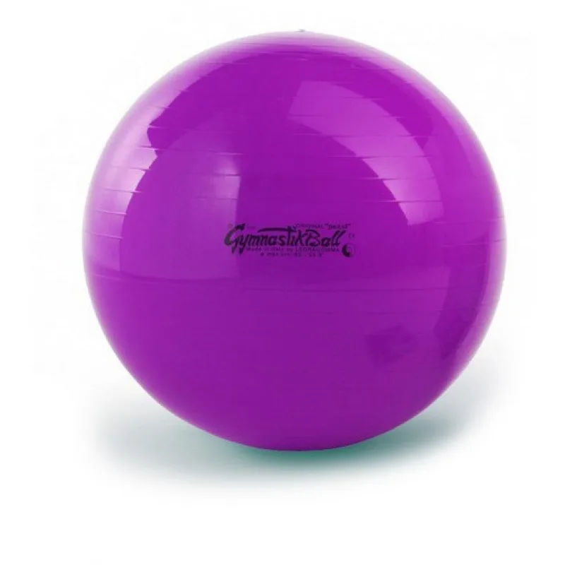PEZZI GymBall lopta, fialová, krabička, 53 cm
