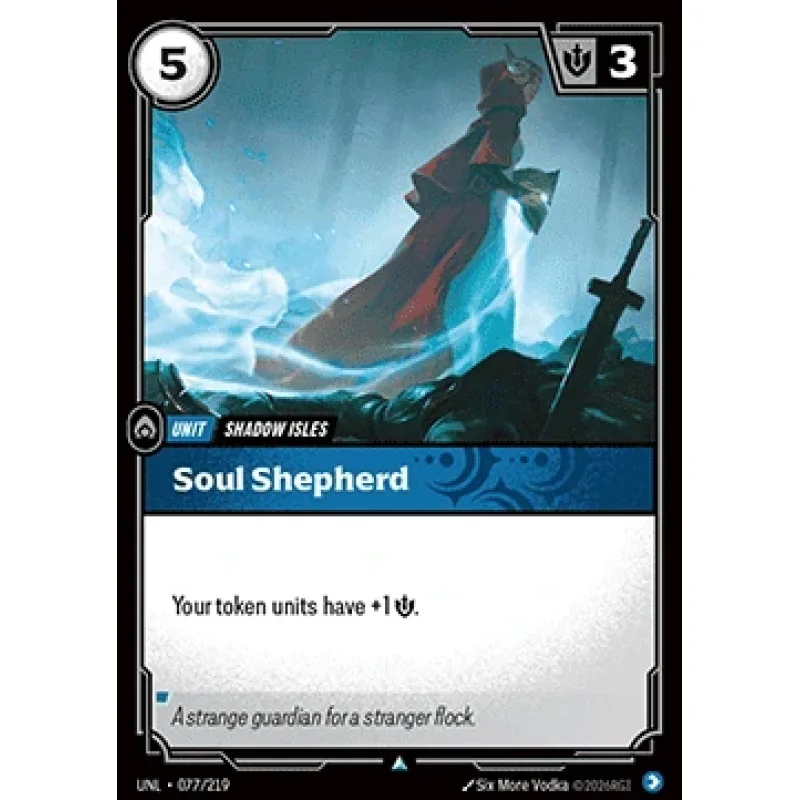 Soul Shepherd