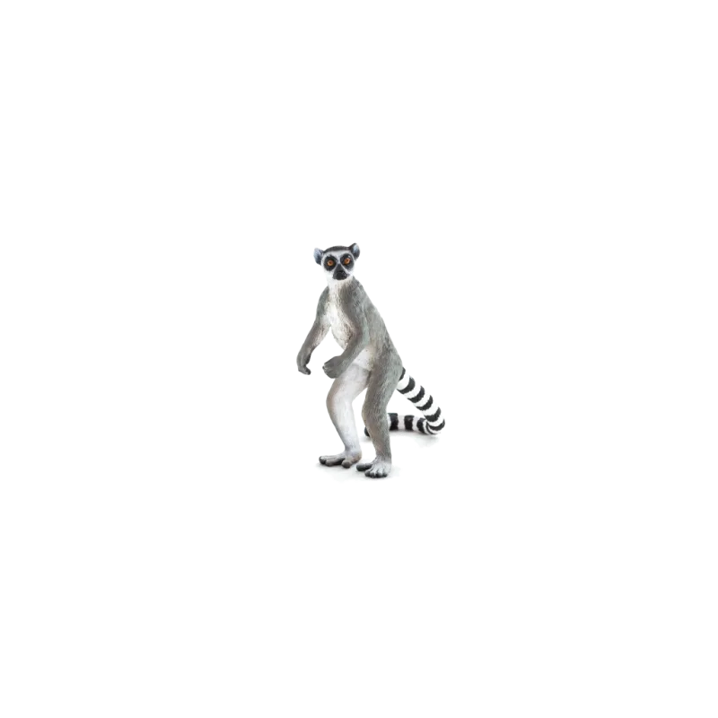 Lemur kata