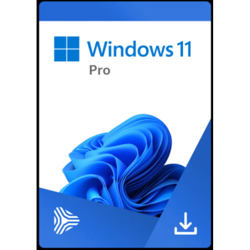 Windows 11 Professional