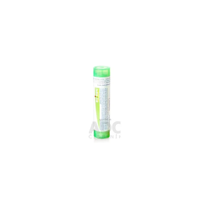 POLLENS GRA HOM CH5 1x4 g