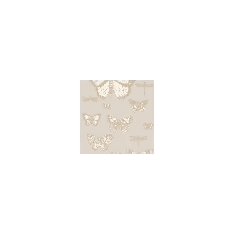 Tapeta BUTTERFLIES & DRAGONFLIES 15064, kolekce WHIMSICAL