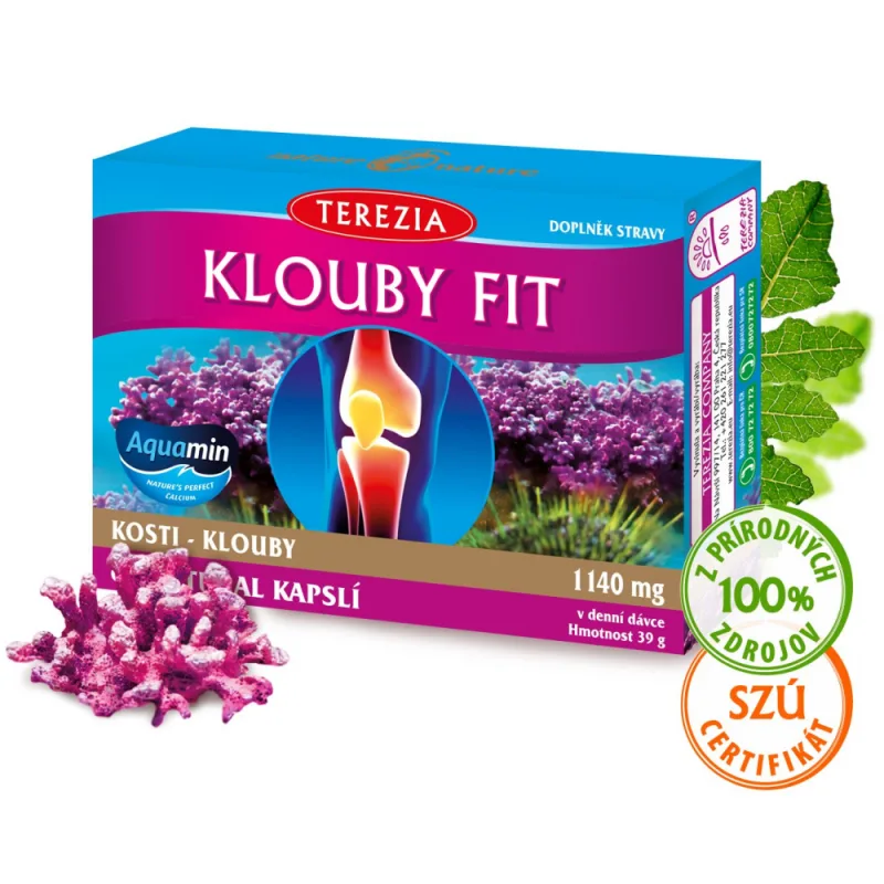 TEREZIA KĹBY FIT 60 kapsúl