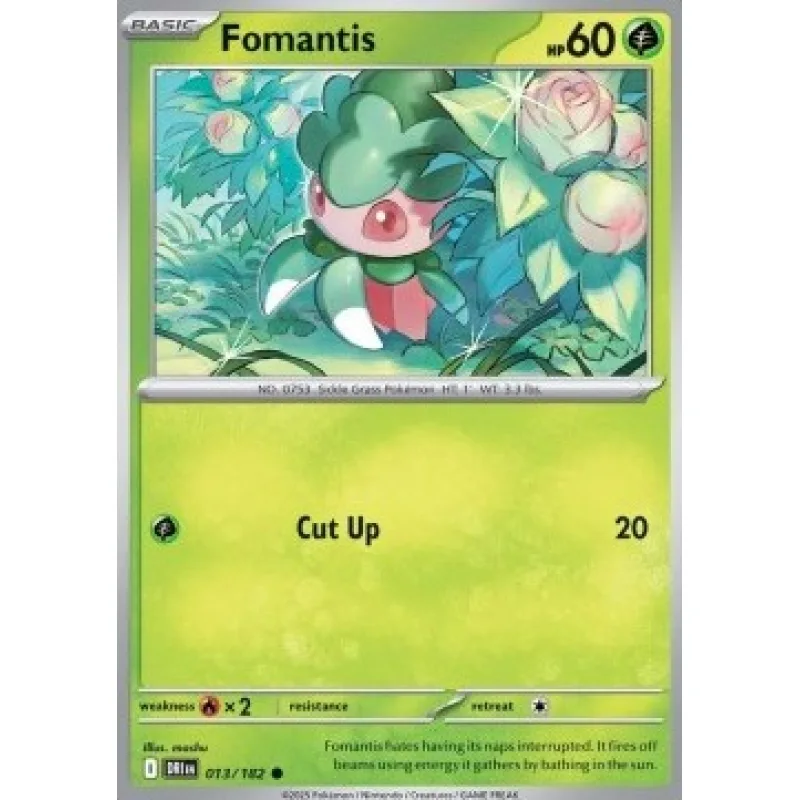 Fomantis (DRI 013)