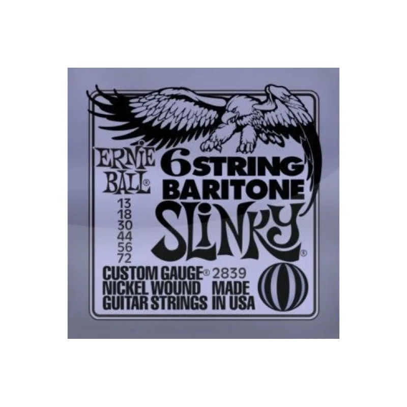 Ernie Ball 2839