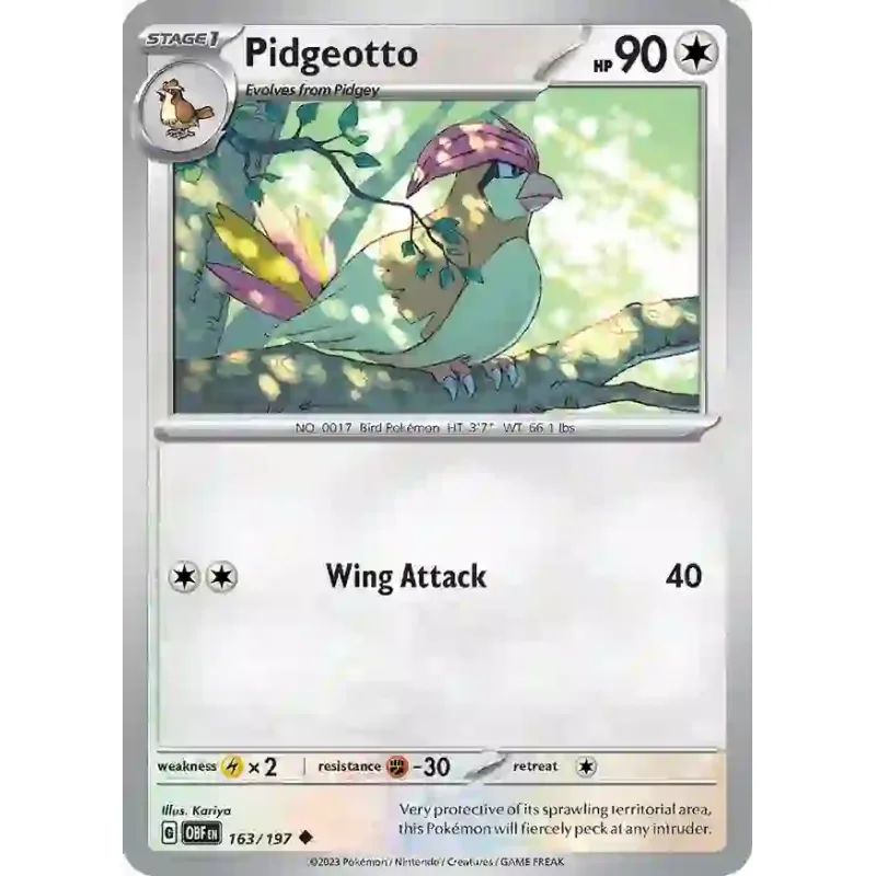 Pidgeotto (OBF 163)
