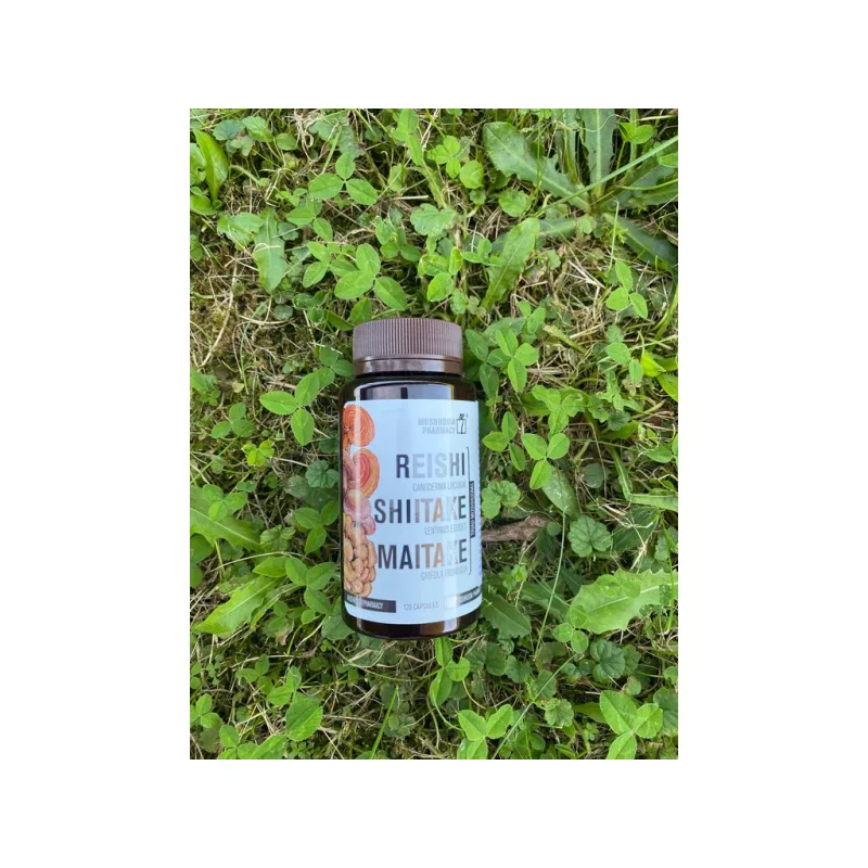REISHI, SHIITAKE A MAITAKE 120 TBL. MUSHROOM PHARMACY
