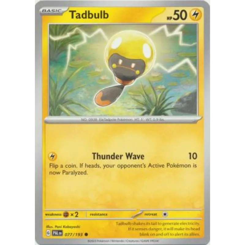 Tadbulb (PAL 077)