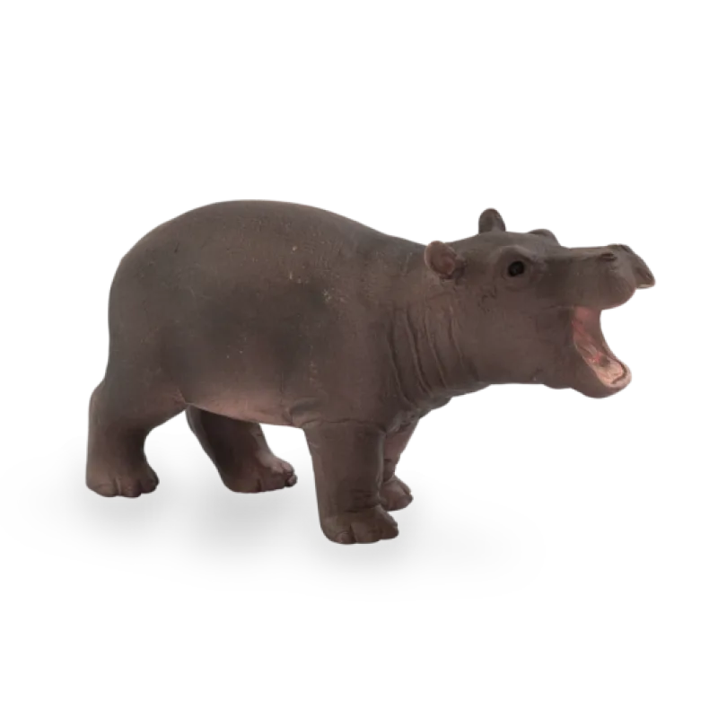 Mojo Hroch mláďa