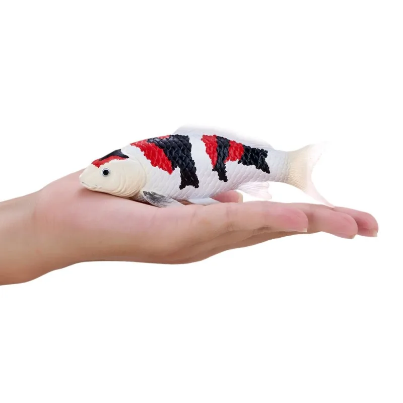 Mojo Kapor koi showa sanshoku