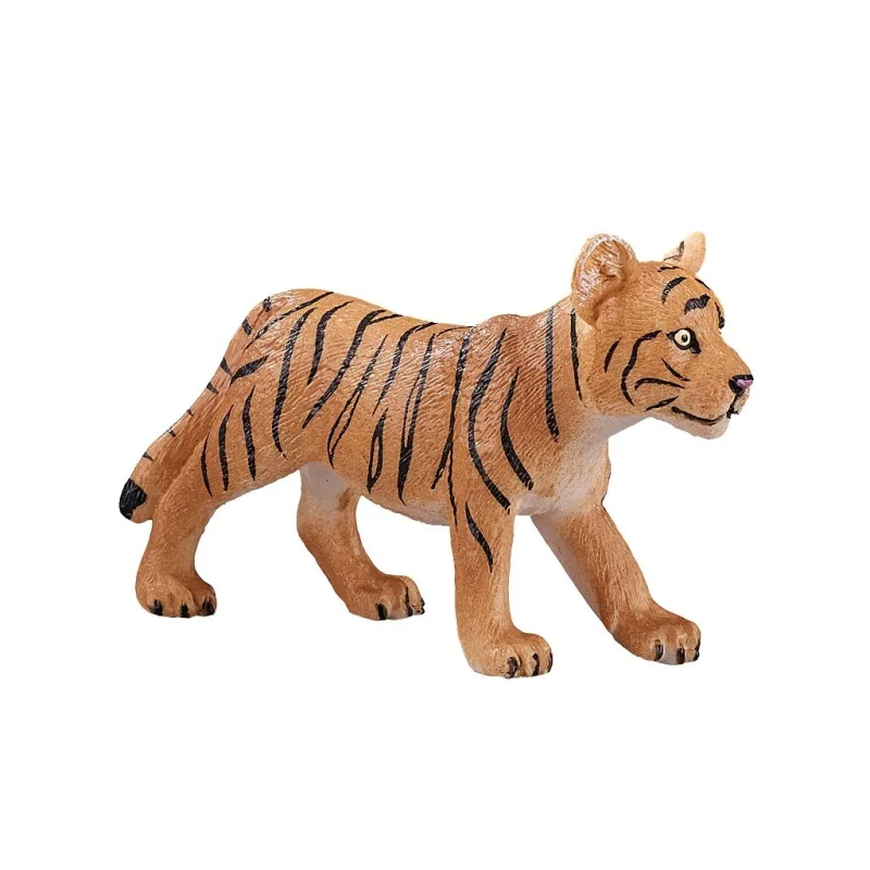 Mojo Mláďa tigra indického stojace