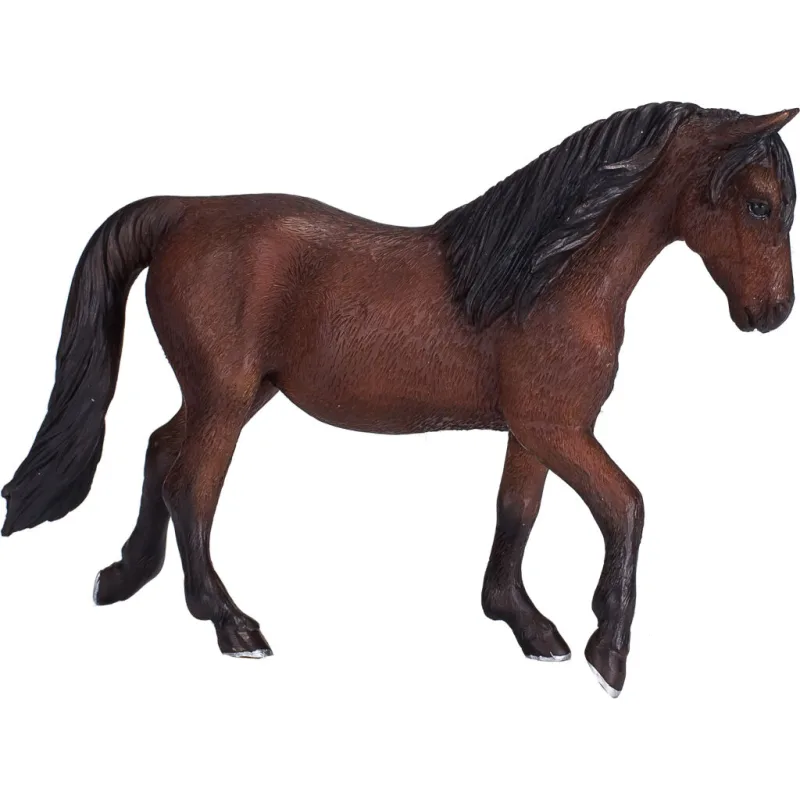 Mojo Kôň Morgan Palomino