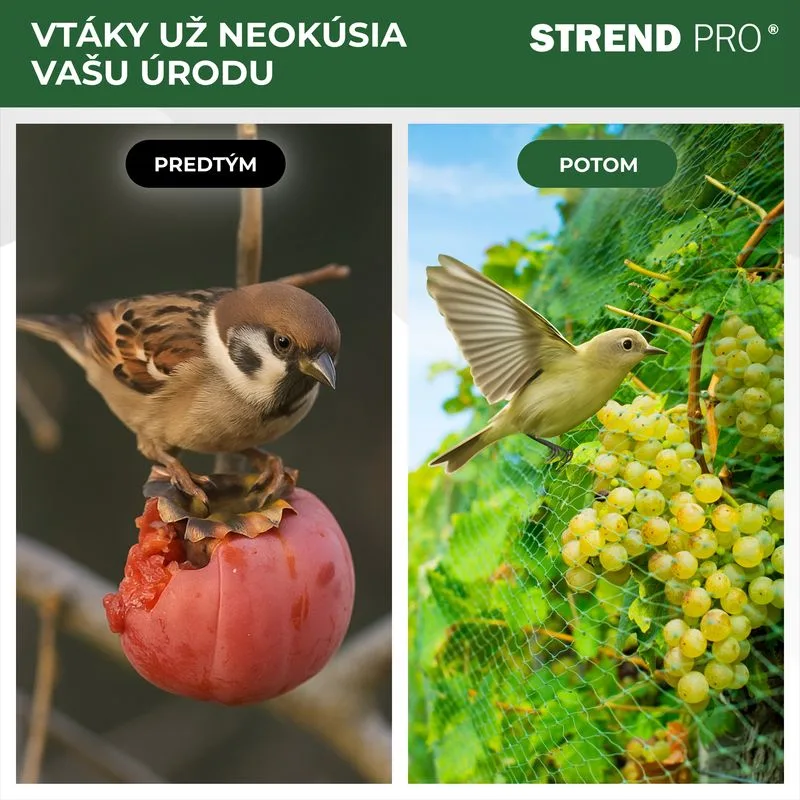 Sieť proti vtákom Strend Pro 4×10 m, oko 18 mm, PE