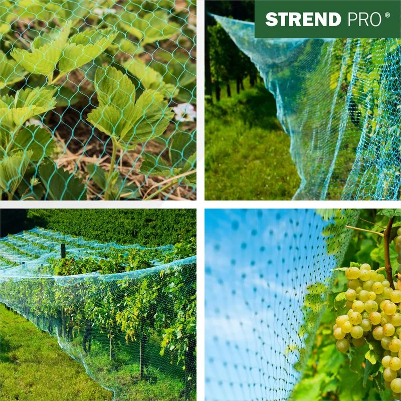 Sieť proti vtákom Strend Pro 4×10 m, oko 18 mm, PE
