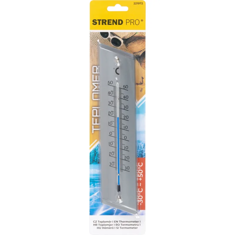 Vonkajší teplomer Strend Pro TM-181 Steel, kovový, sivý