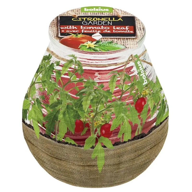 Sviečka proti komárom Bolsius Terrace Citronella, 94/91 mm, paradajka