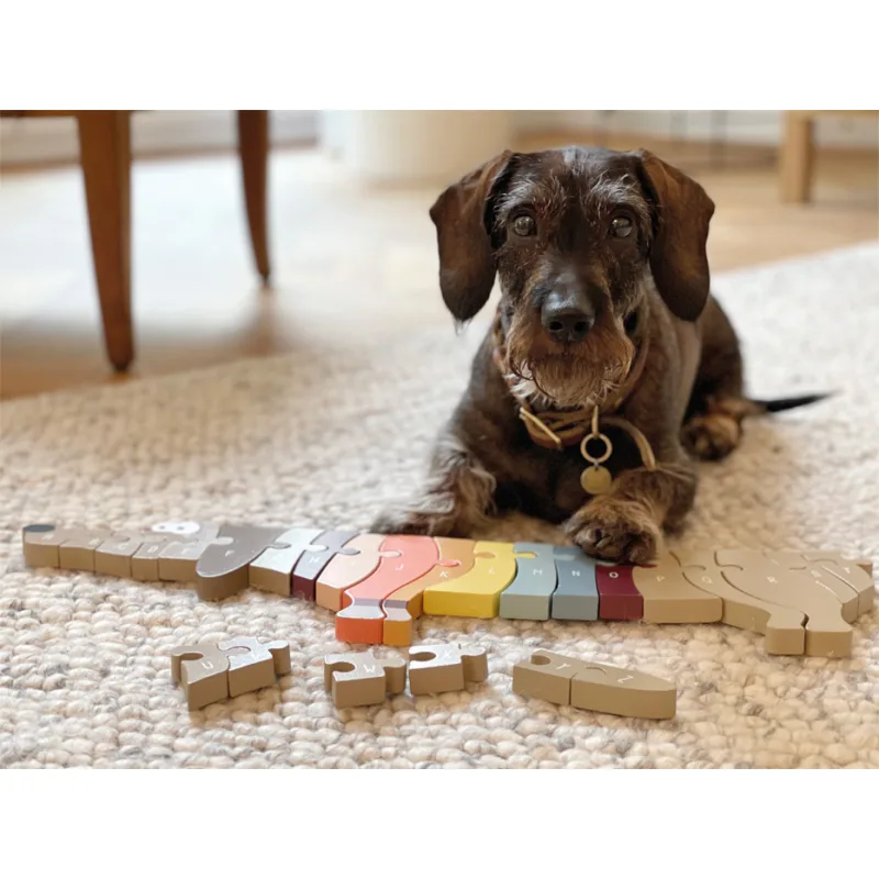 Puzzle písmená Jazvečík