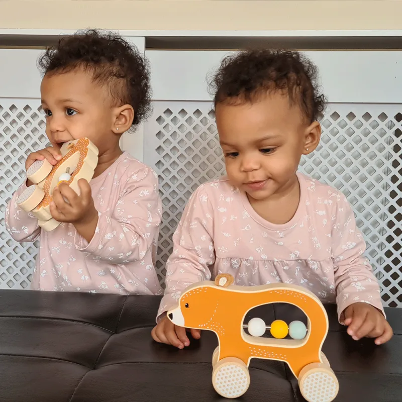Bigjigs Toys Hrkálka Ježko na kolieskach