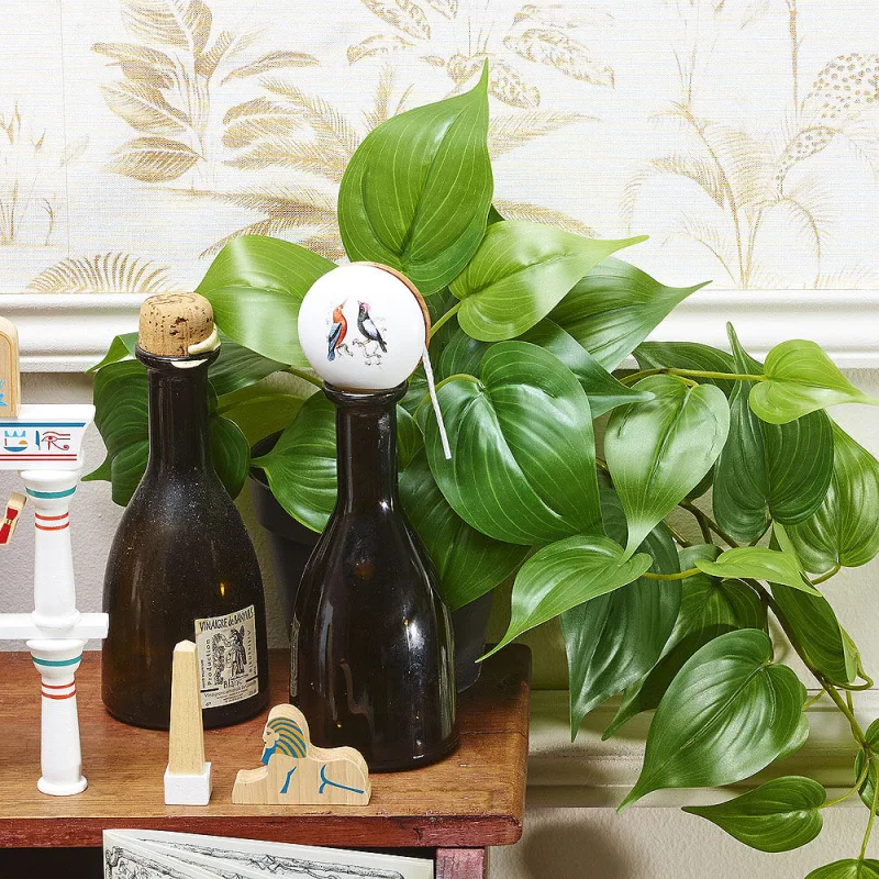 Jojo vtáčiky