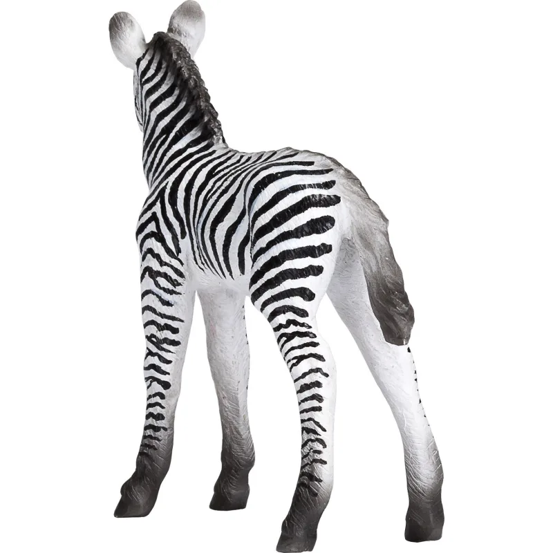 Mojo Zebra mláďa