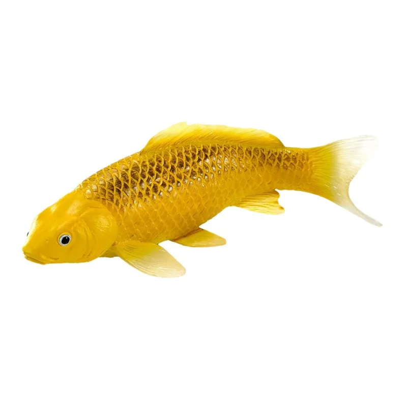 Mojo Kapor koi kin matsuba