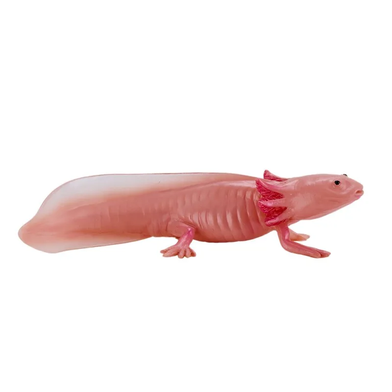 Mojo Axolotl