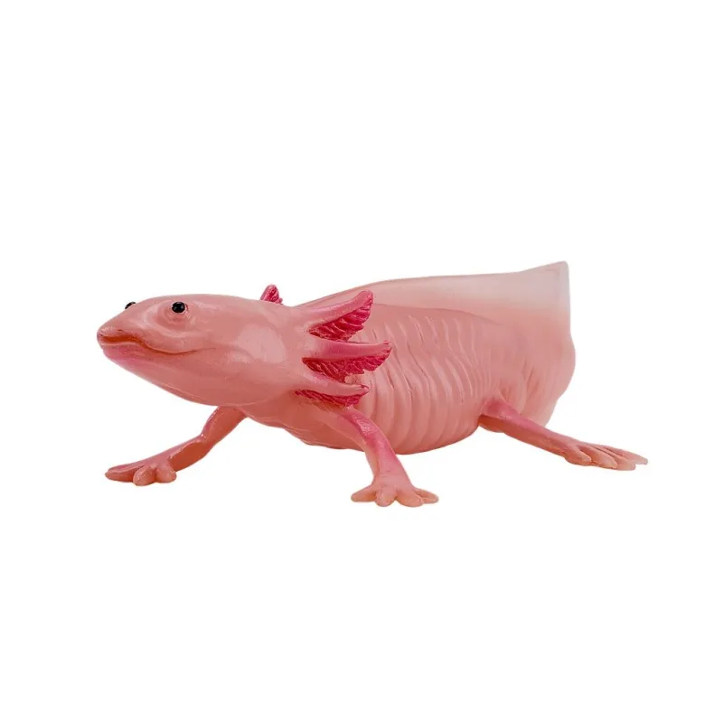 Mojo Axolotl