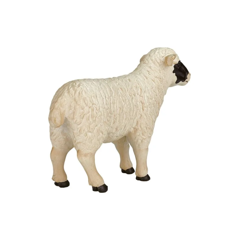 Mojo Ovca Hampshire