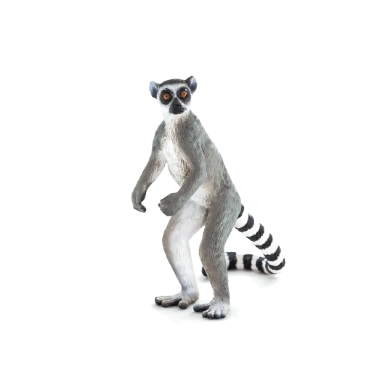 Mojo Lemur kata