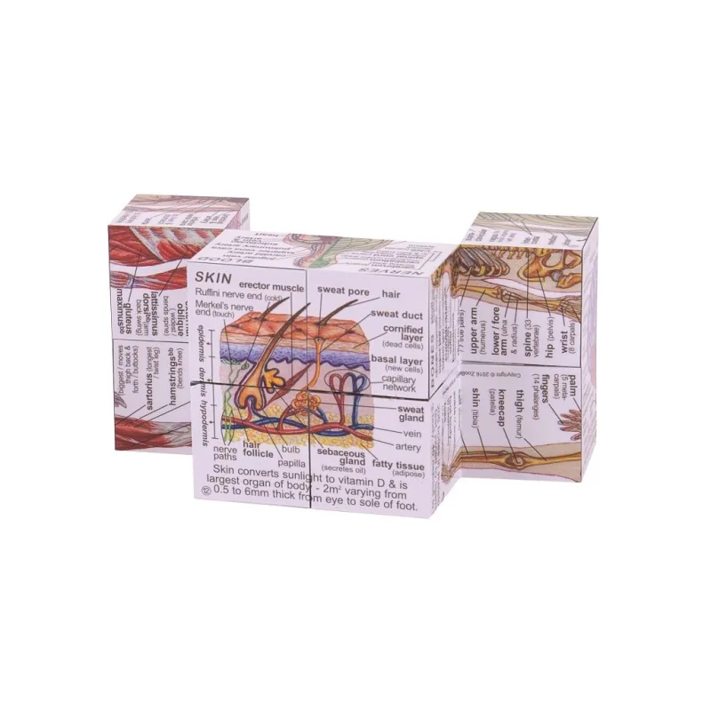 Kniha v kocke Ľudské telo