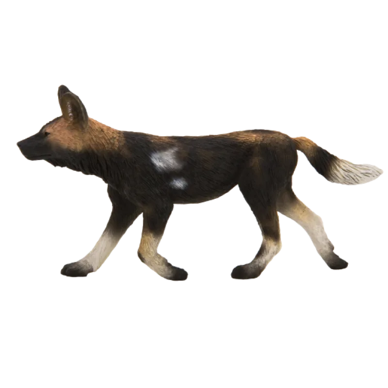 Mojo Pes hyenový