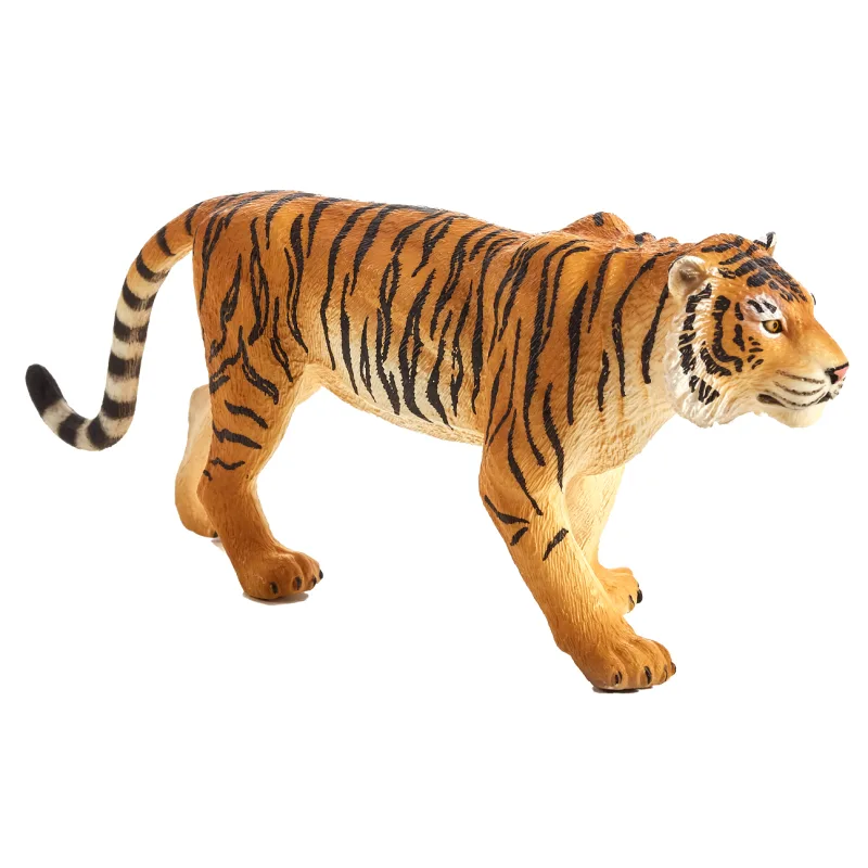 Mojo Bengálsky tiger