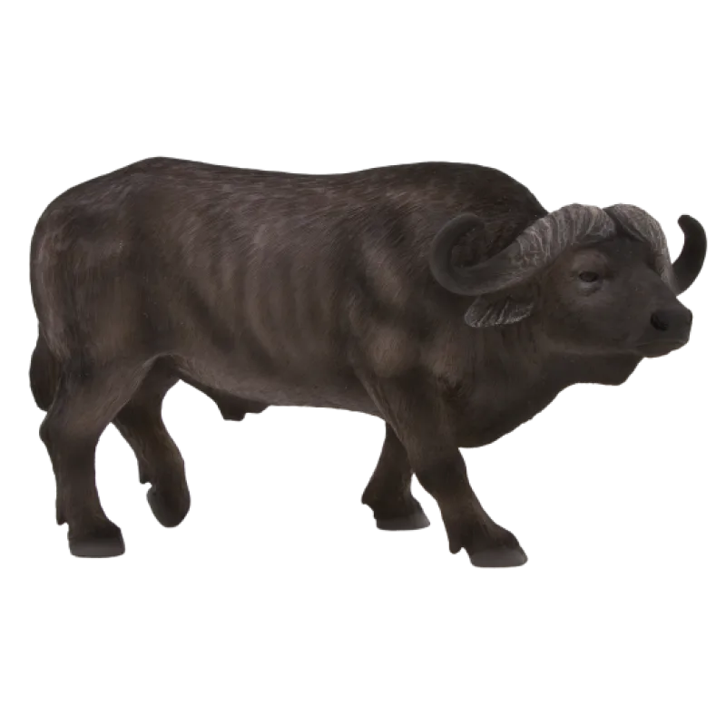 Mojo Byvol africký
