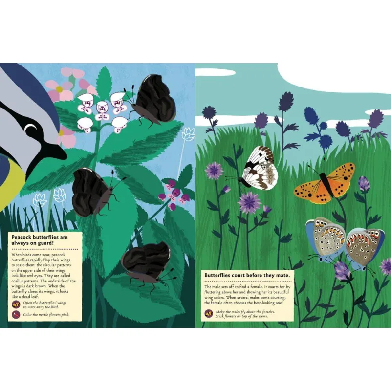 Chronicle Books Kniha aktivít so samolepkami my nature Motýle sveta