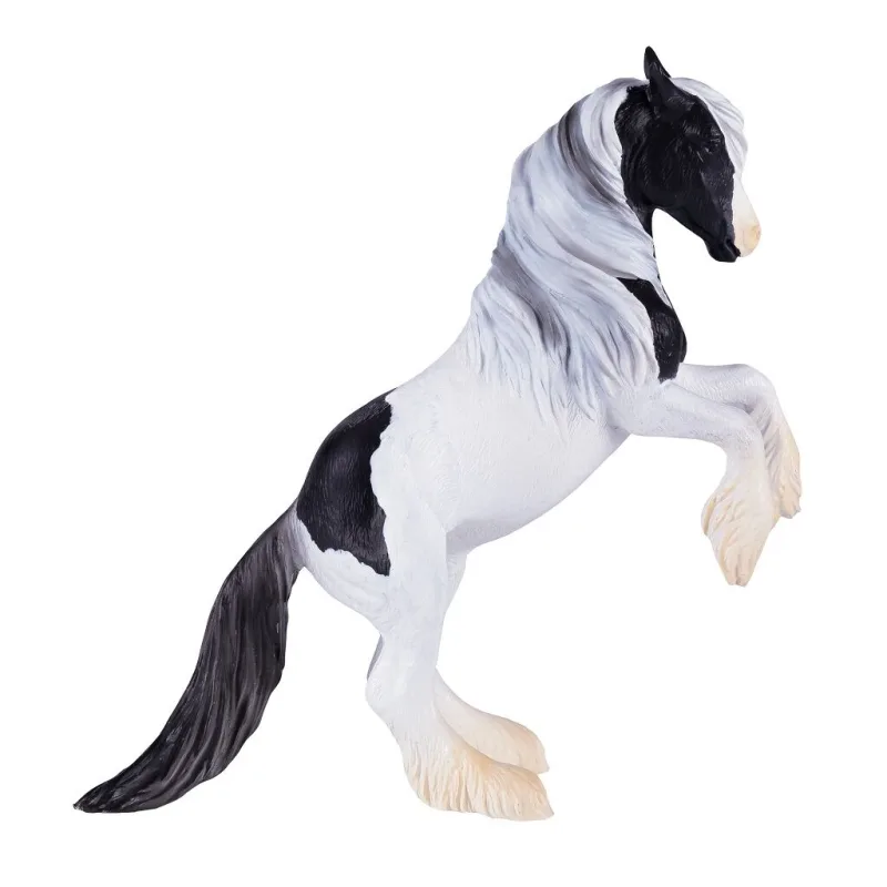 Mojo Žrebec Gypsy Vanner