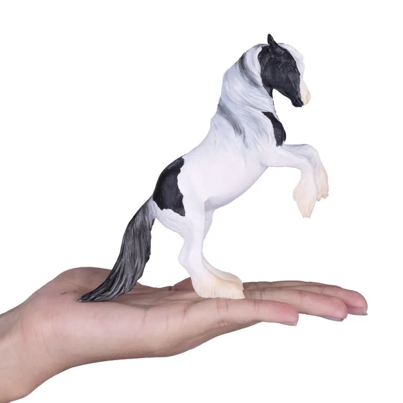Mojo Žrebec Gypsy Vanner