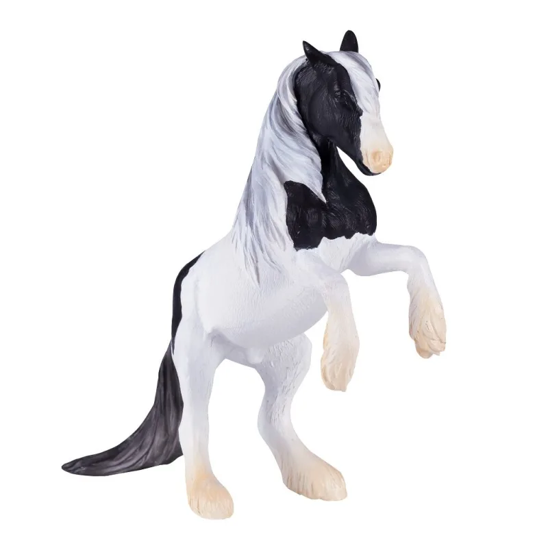 Mojo Žrebec Gypsy Vanner