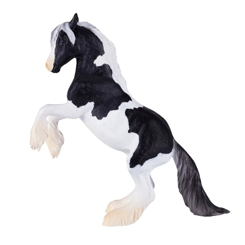 Mojo Žrebec Gypsy Vanner