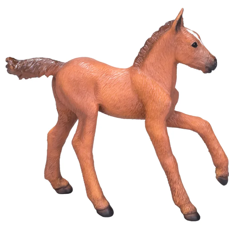 Mojo Arabské žriebä Chestnut