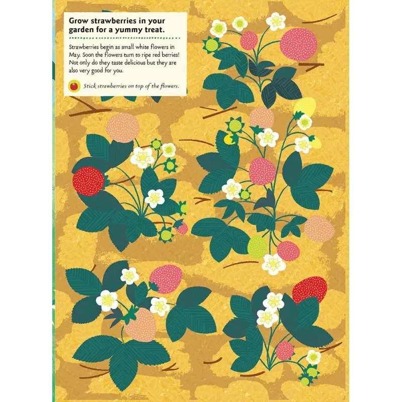Chronicle Books Kniha aktivít so samolepkami My nature V zeleninovej záhrade