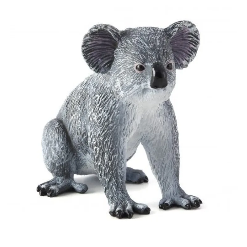 Mojo Koala