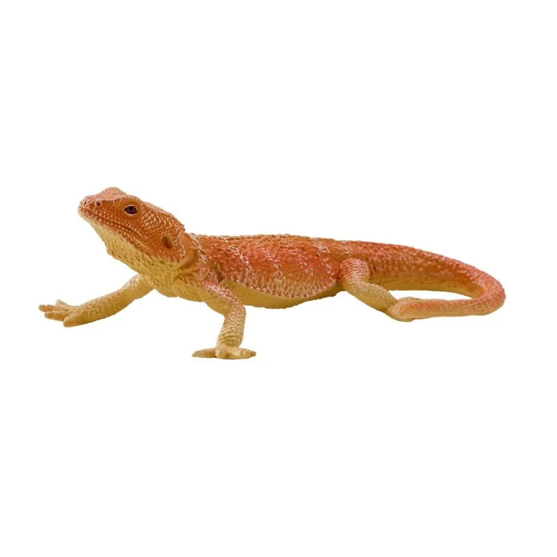 Mojo Agama