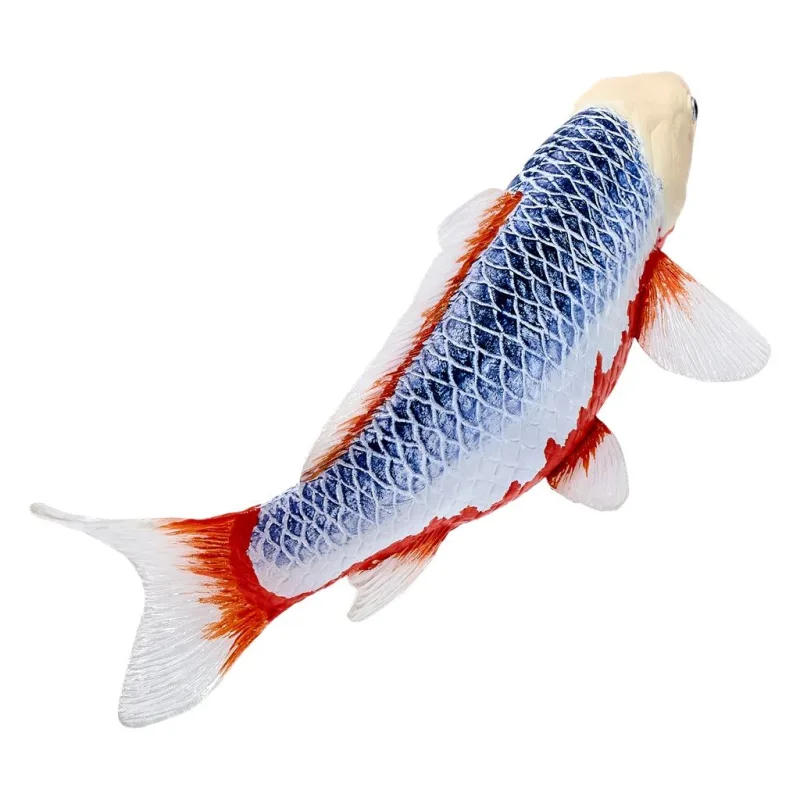 Mojo Kapor koi asagi
