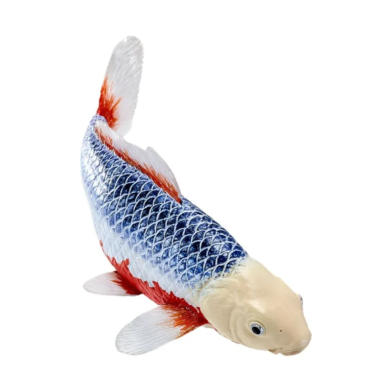 Mojo Kapor koi asagi