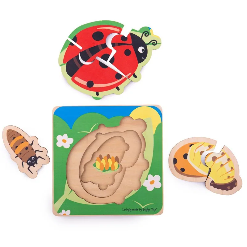Bigjigs Toys Vkladacie puzzle Životný cyklus lienky