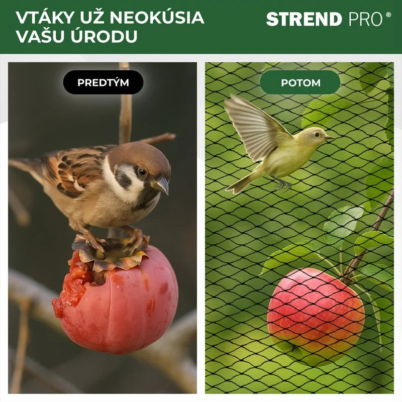 Sieť proti vtákom A1206, 12x25 m, oko 25 mm, PE
