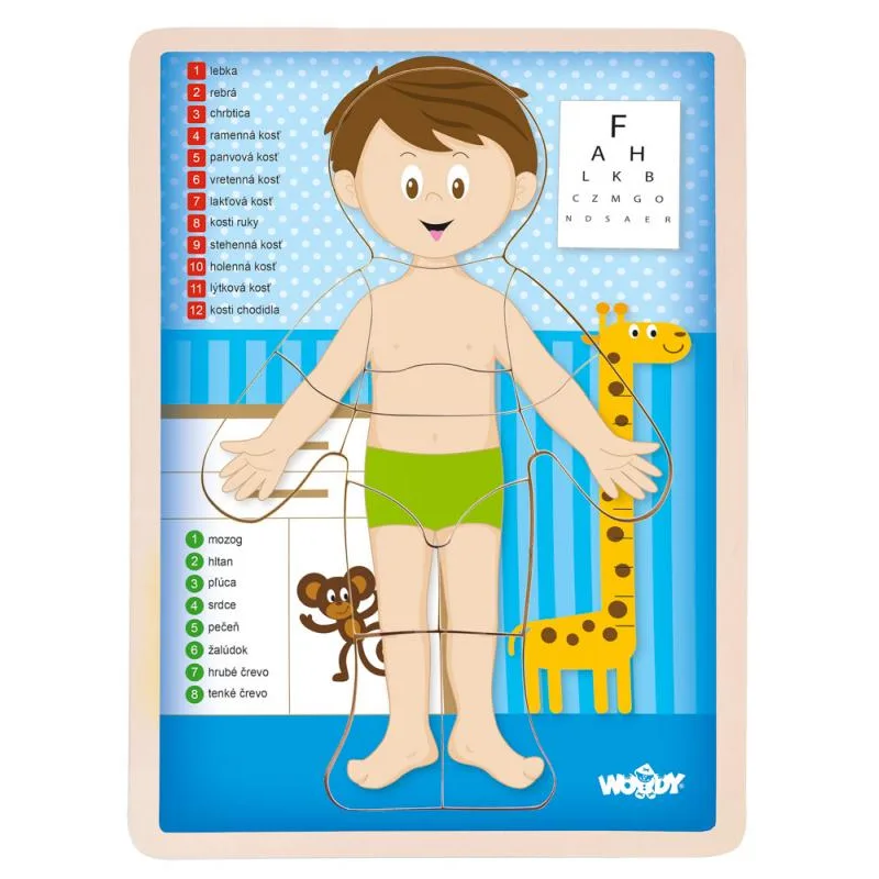 Woody Puzzle Ľudské telo Chlapec SK